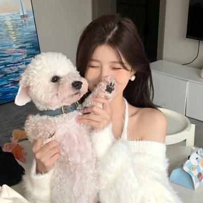 天线宝宝(重启版)